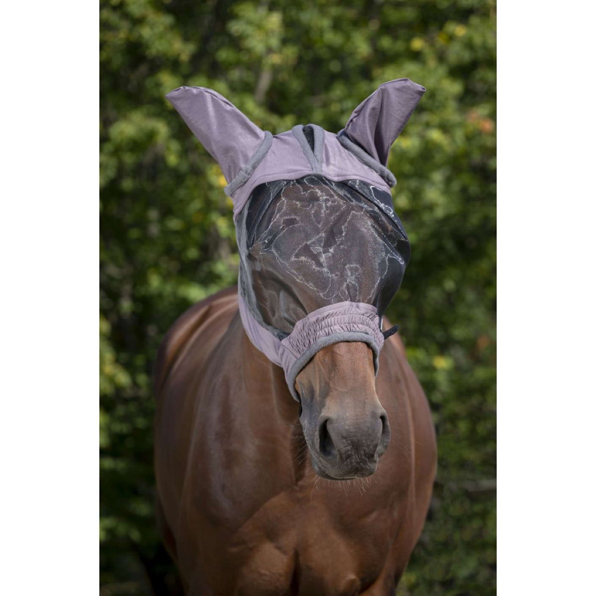 EQUITHÈME Máscara para Moscas Anti-UV Doux Gris