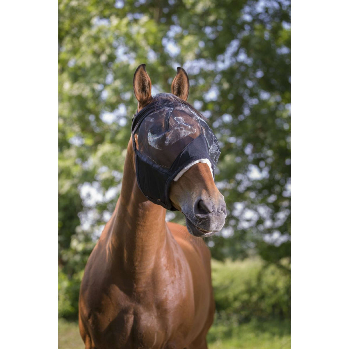 EQUITHÈME Máscara para Moscas Anti-UV Polaire Negro