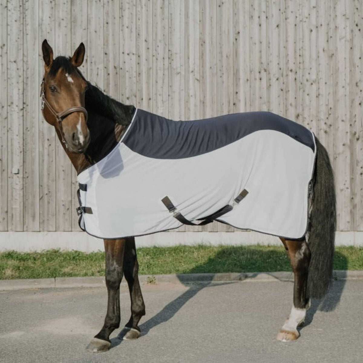 EQUITHÈME Manta Antimoscas Flycool Standard Marino/Blanco