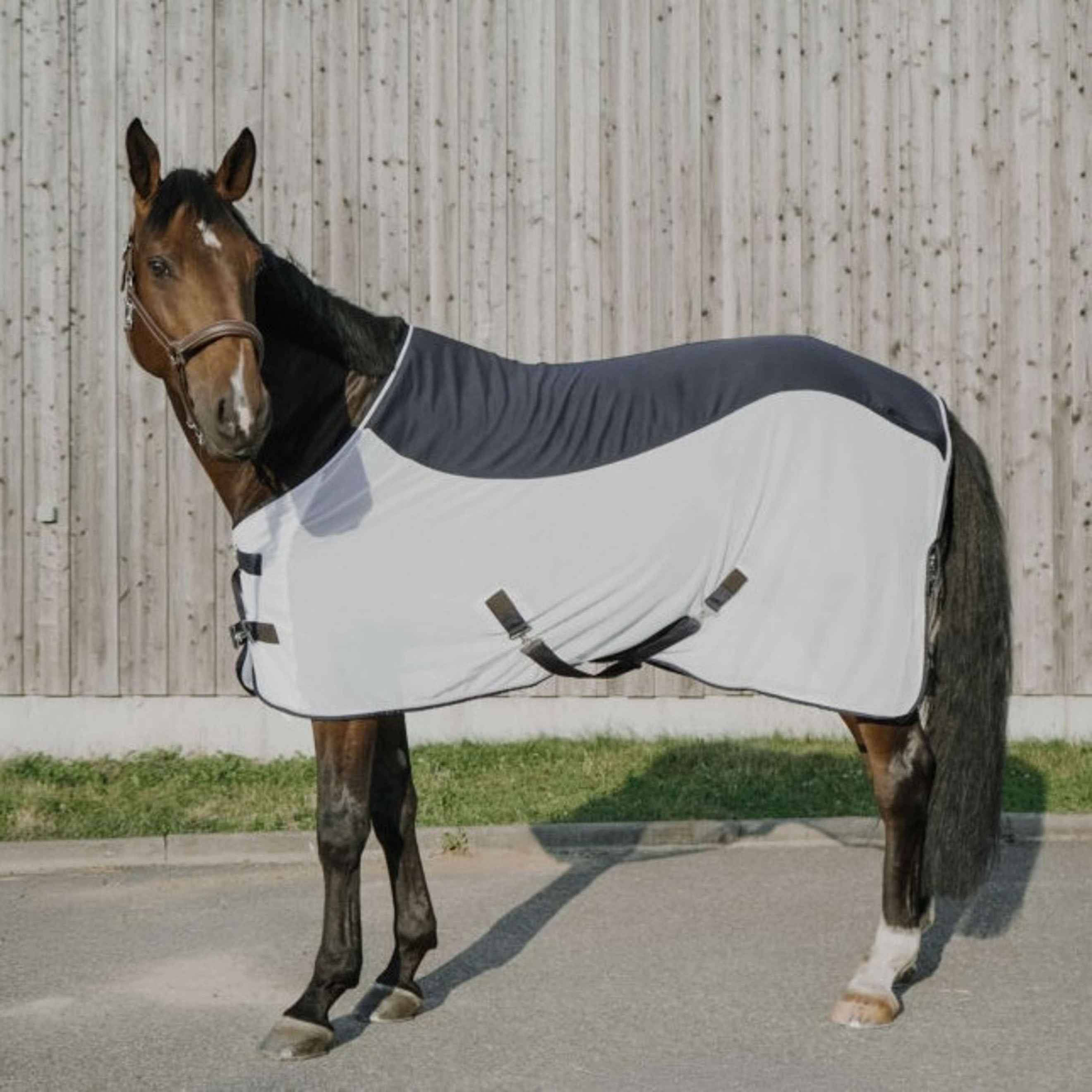 EQUITHÈME Manta Antimoscas Flycool Standard Marino/Blanco