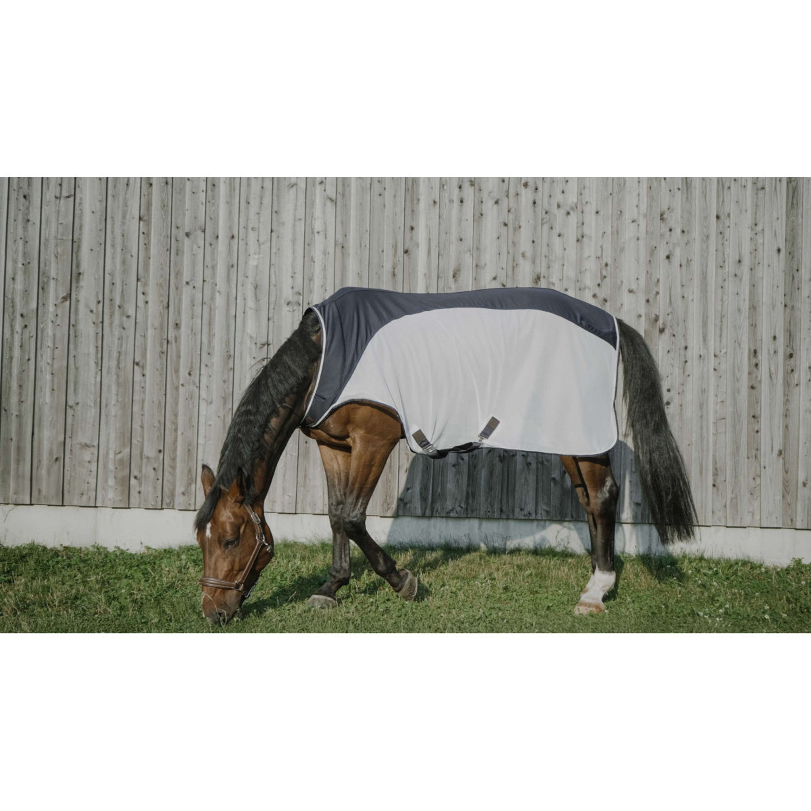 EQUITHÈME Manta para caminador Flycool Marino/Blanco EQUITHÈME Manta para caminador Flycool Marino/Blanco