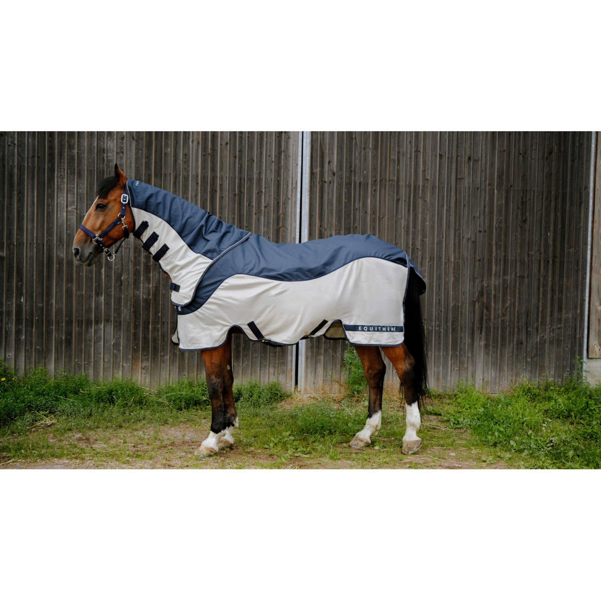 EQUITHÈME Manta Antimoscas TYREX Combofly 600D con cuello Navy Blue/Grey
