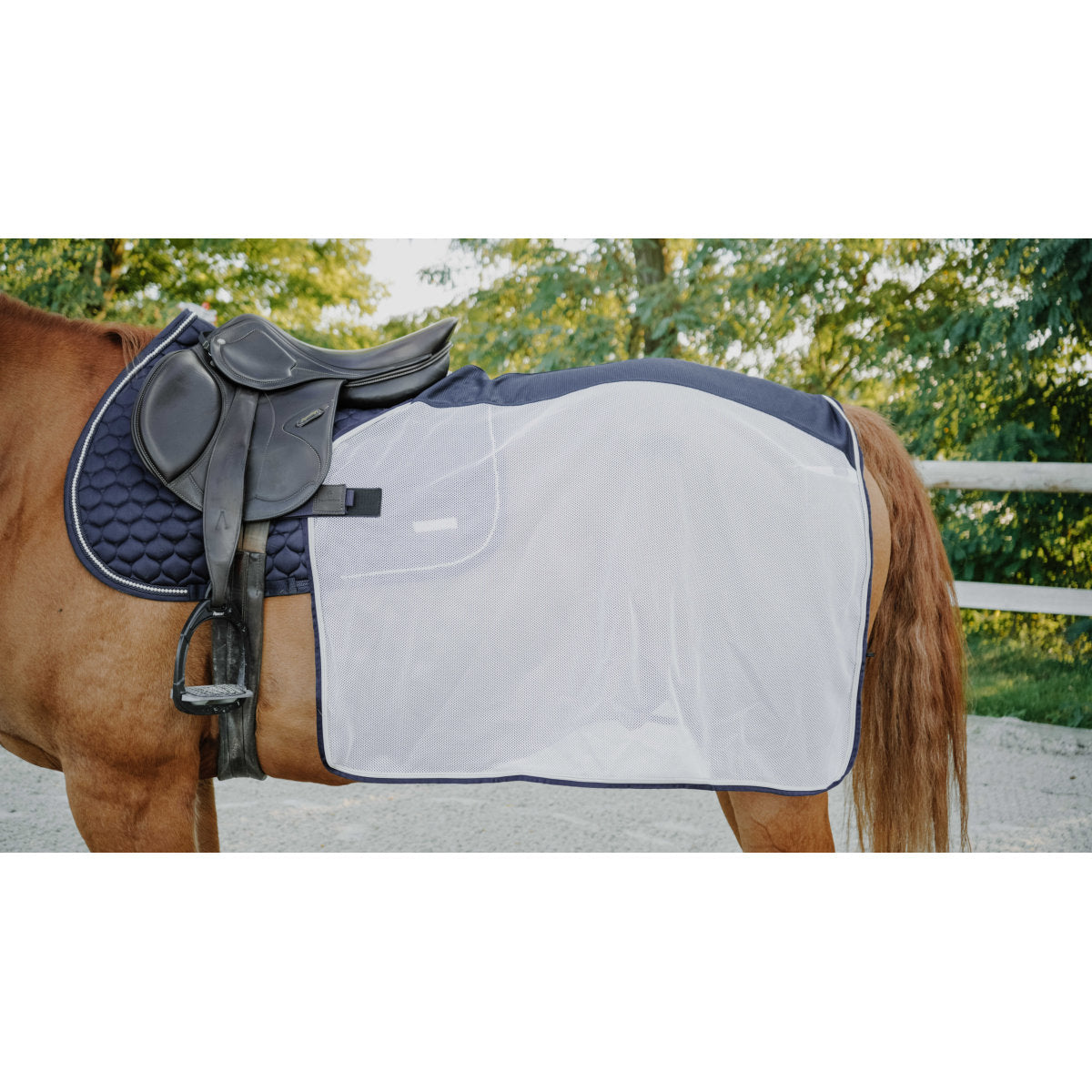 EQUITHÈME Manta de ejercicio Flycool square Marino/Blanco