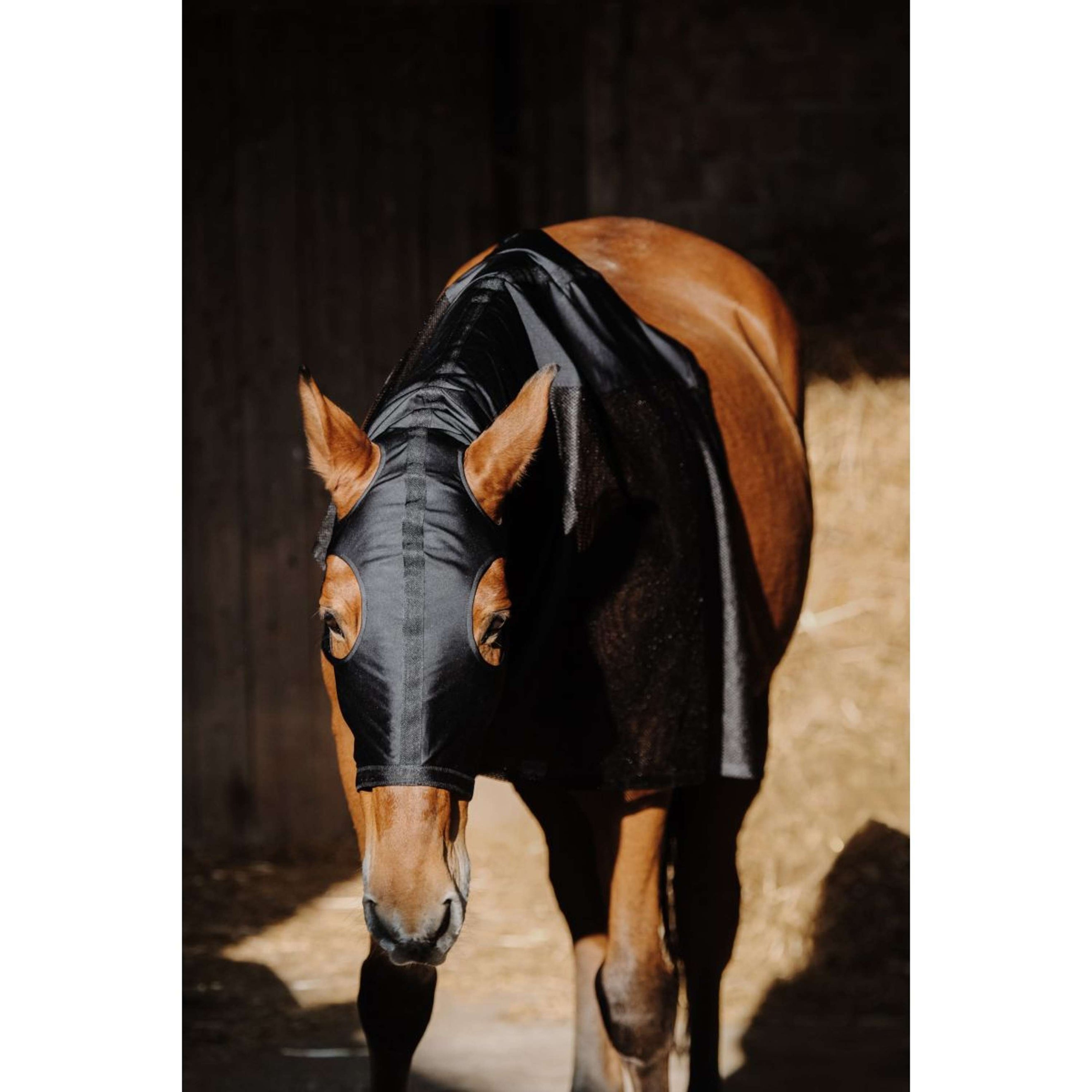EQUITHÈME Protector de cuello Lycra/Mesh Negro EQUITHÈME Protector de cuello Lycra/Mesh Negro