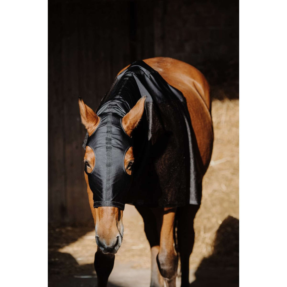 EQUITHÈME Protector de cuello Lycra/Mesh Negro