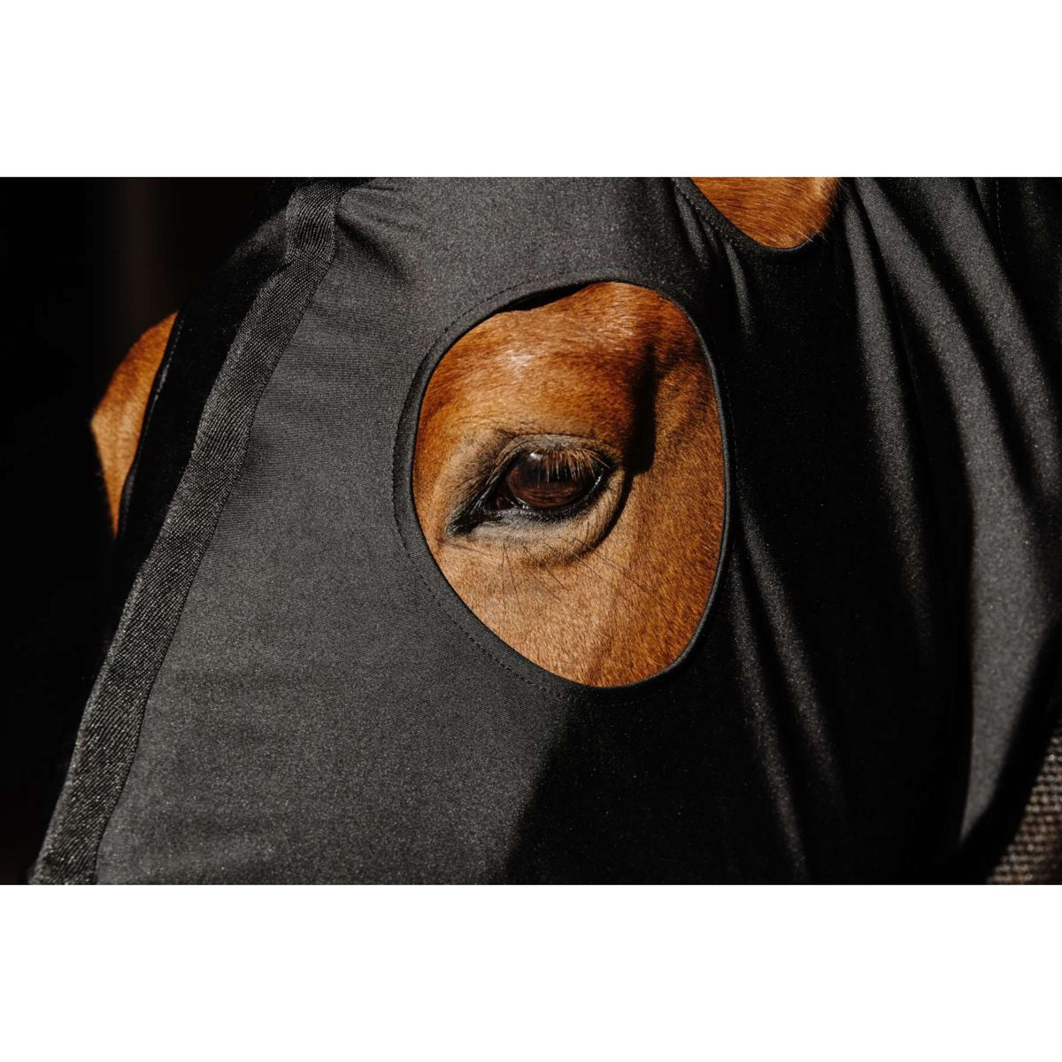 EQUITHÈME Protector de cuello Lycra/Mesh Negro