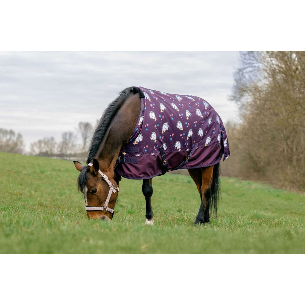 EQUITHÈME Turnout Manta Unicorn 600D 220g Ciruela