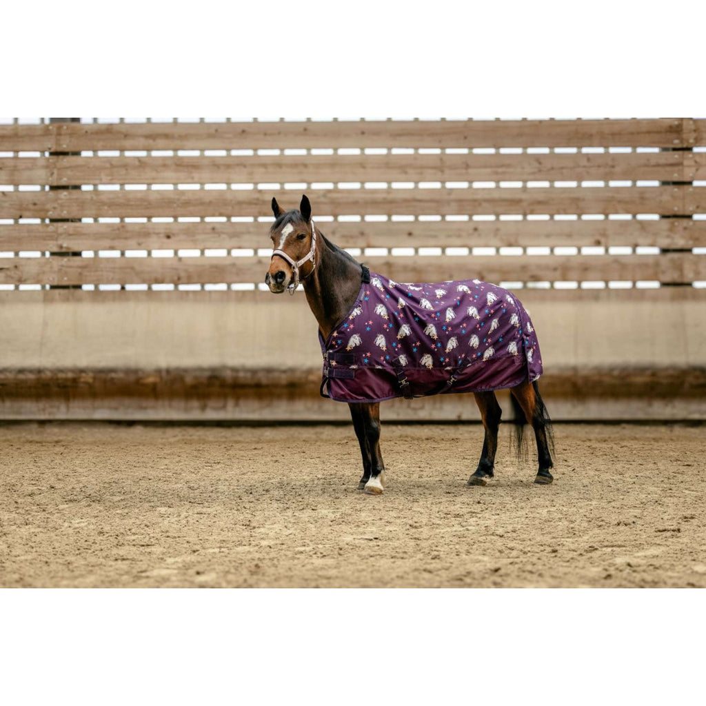 EQUITHÈME Turnout Manta Unicorn 600D 220g Ciruela