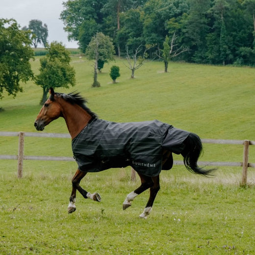 EQUITHÈME Manta Impermeable TYREX Lumin 600D 0g Negro