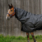 EQUITHÈME Cubrecuellos TYREX Lumin 600D 0g Negro