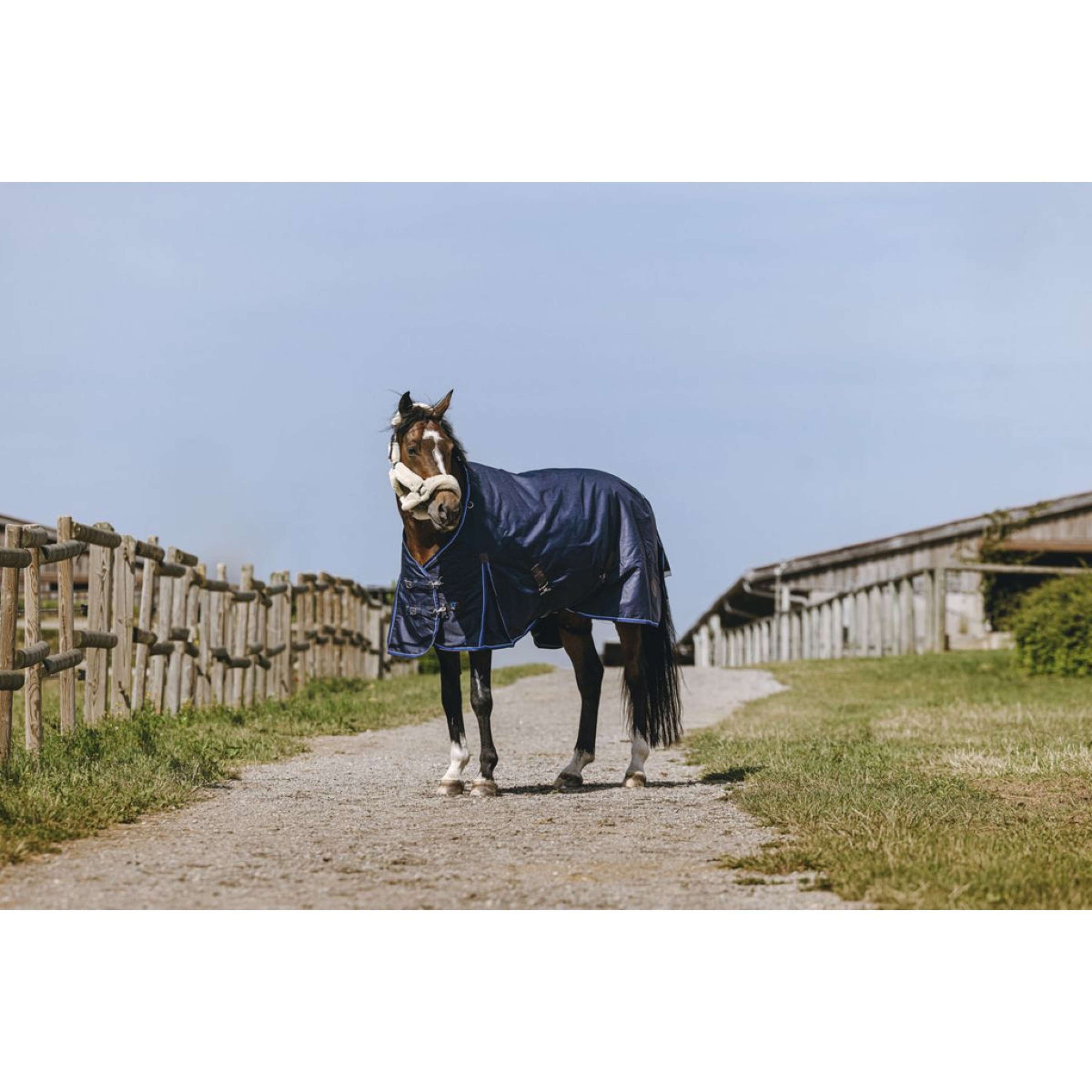 EQUITHÈME Alfombra de Exterior Classic 1200D High Neck 200g Navy EQUITHÈME Alfombra de Exterior Classic 1200D High Neck 200g Navy