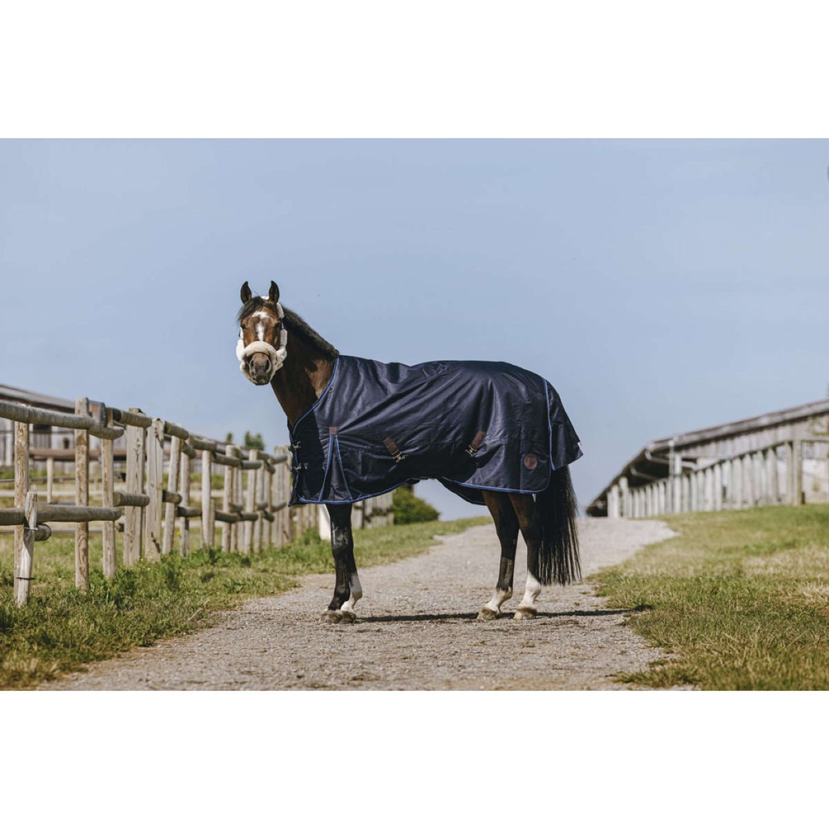 EQUITHÈME Alfombra de Exterior Classic 1200D High Neck 50g Navy