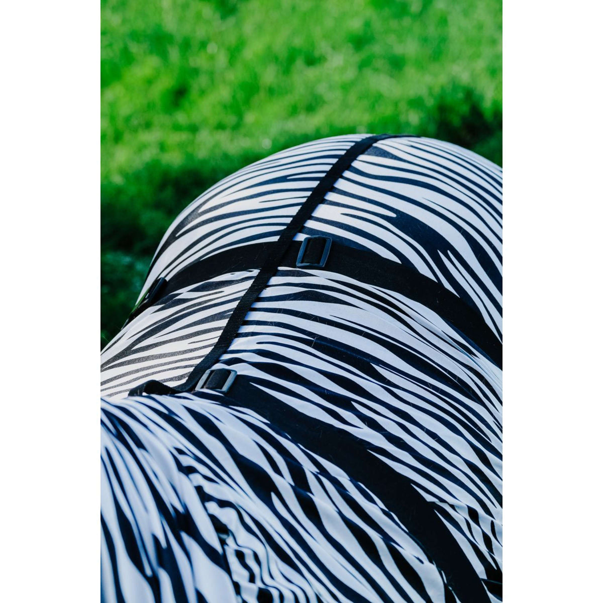 Riding World Manta para Eczema Zebra