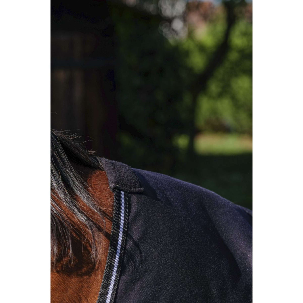 Riding World Manta de Verano Brillante Negro