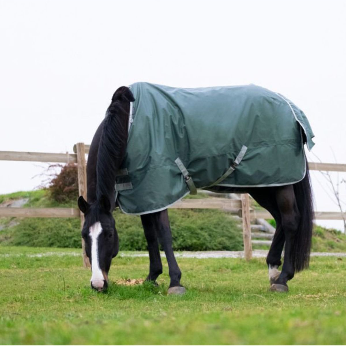 EQUITHÈME Manta Impermeable Tyrex 600D 50g Verde