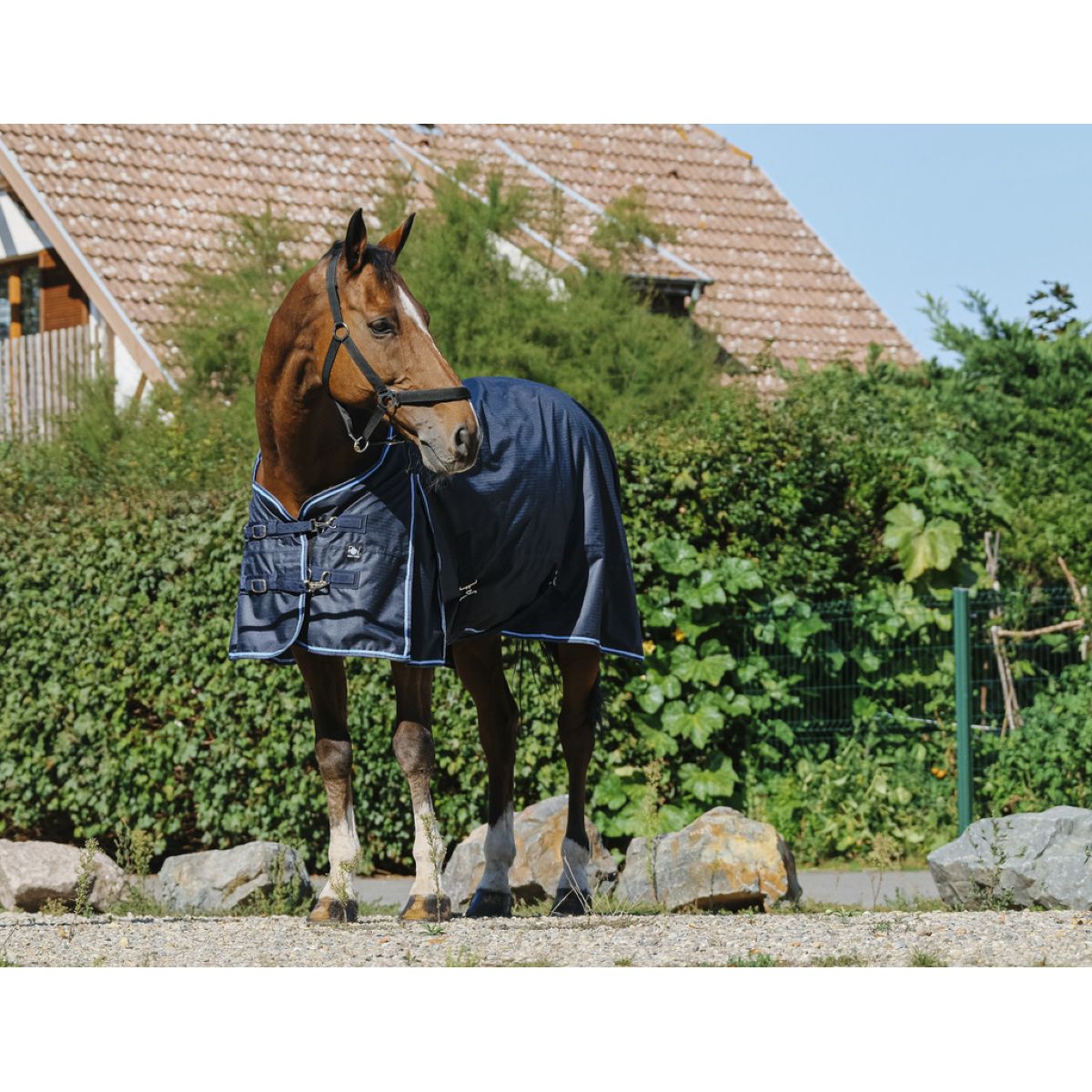 Riding World Alfombra de Exterior ECO 600D 0g Navy