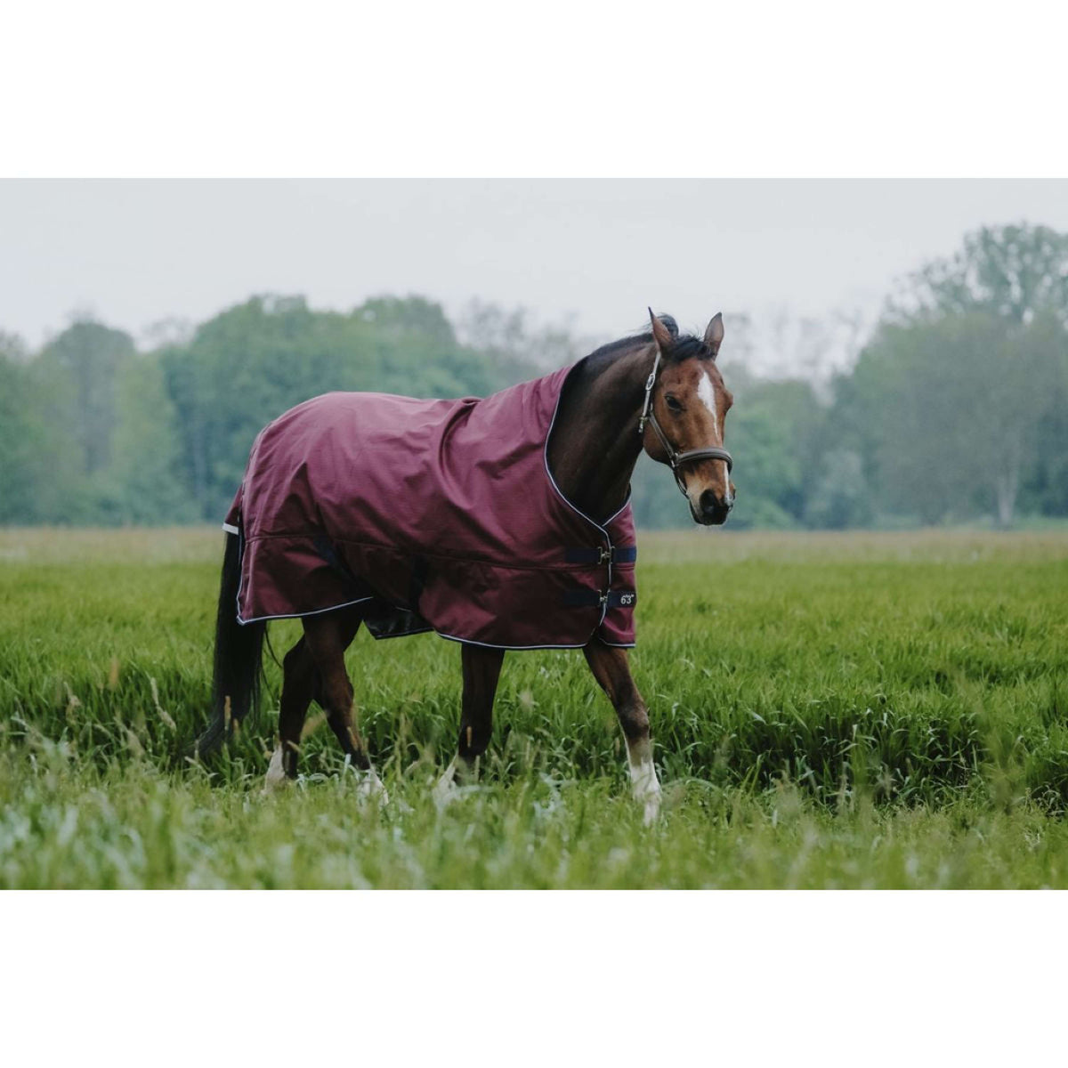 EQUITHÈME Alfombra de Exterior 1200D 50g Standard Burdeos