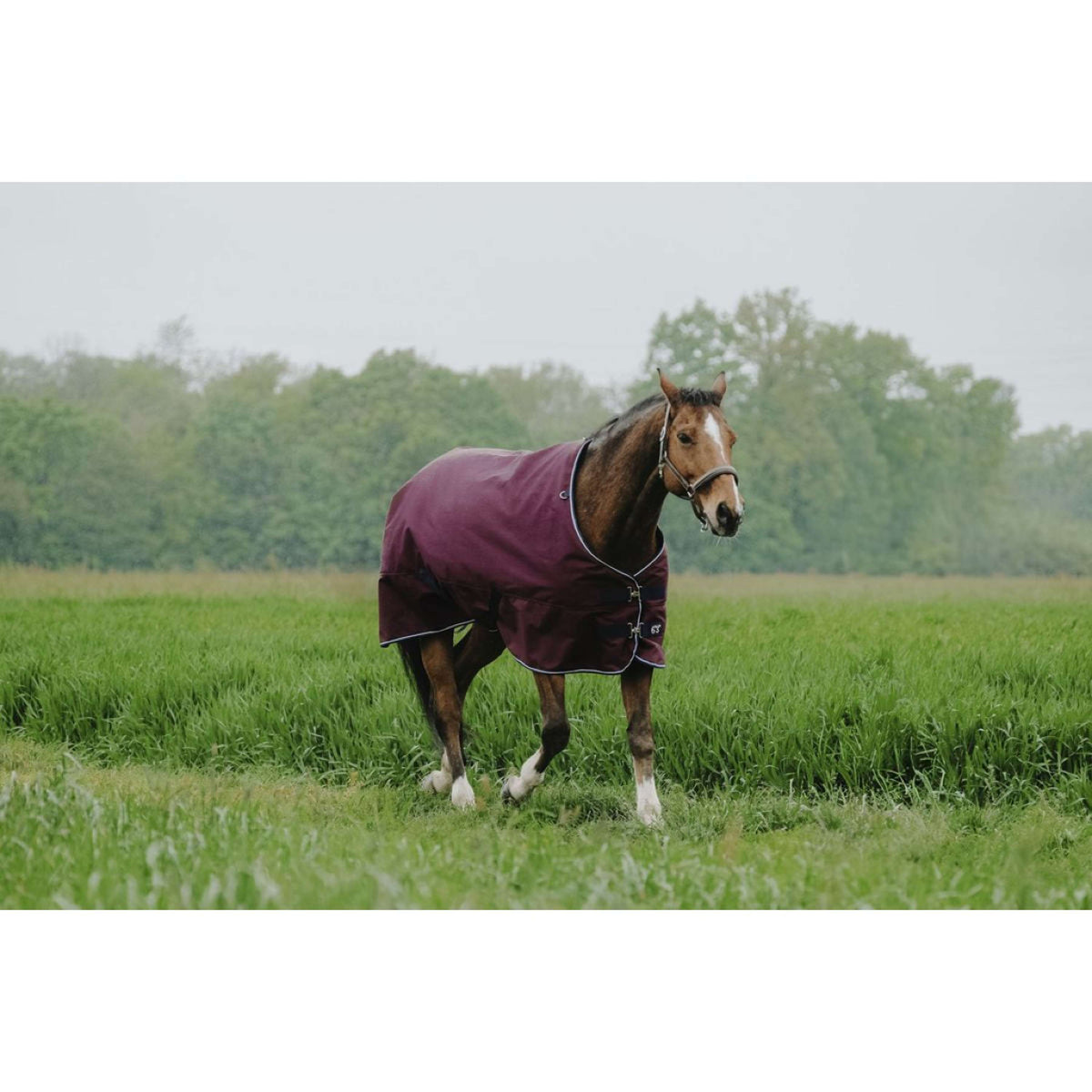 EQUITHÈME Alfombra de Exterior 1200D 50g Standard Burdeos