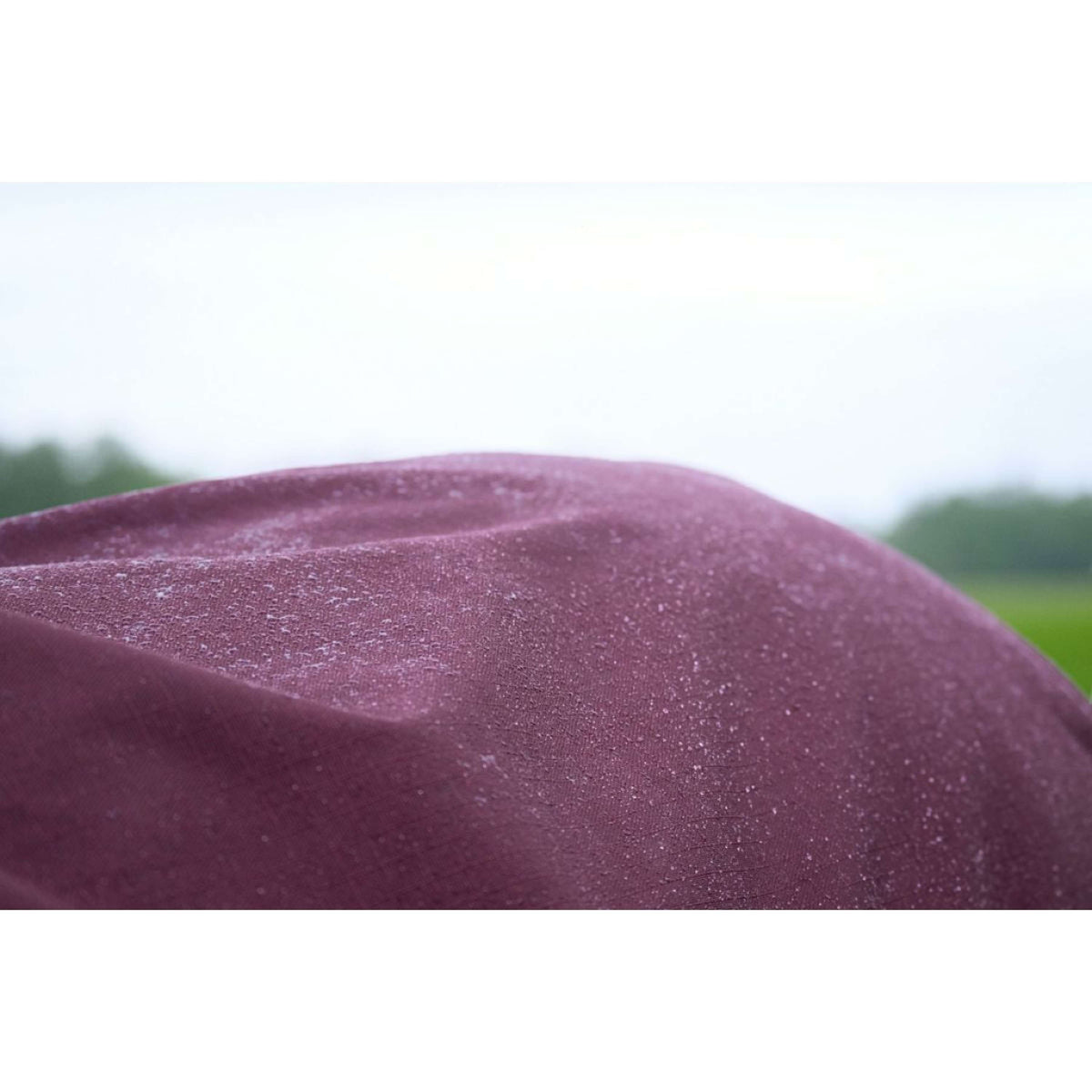 EQUITHÈME Alfombra de Exterior 1200D 50g Standard Burdeos