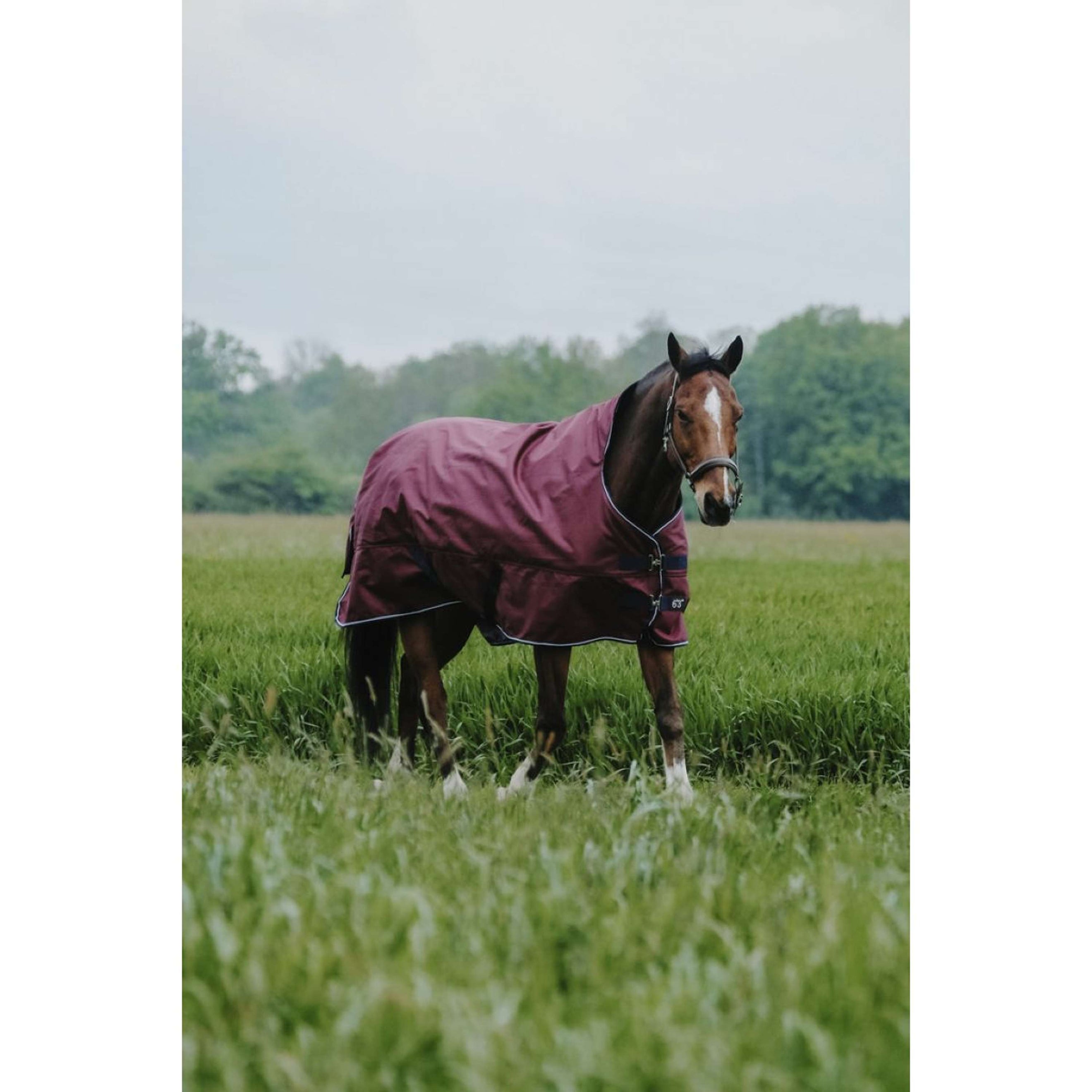 EQUITHÈME Alfombra de Exterior 1200D 300g High Neck Burdeos