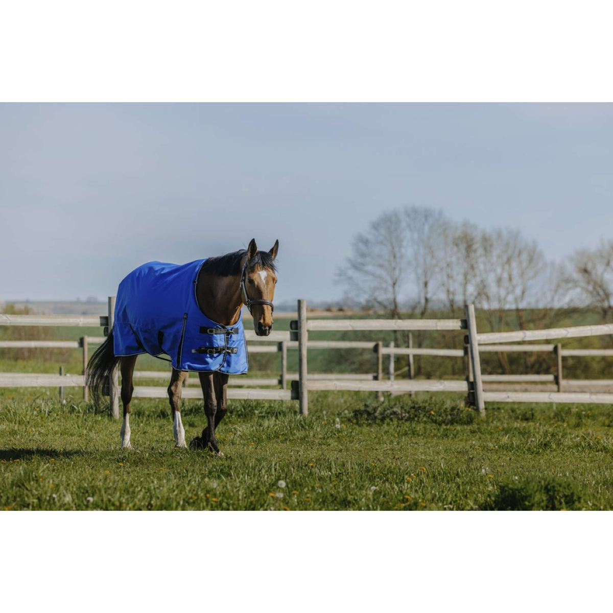 EQUITHÈME Alfombra de Exterior 1200D 50g Aisance Standard Royal Blue