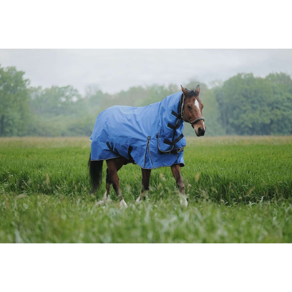 EQUITHÈME Alfombra de Exterior 1200D 300g Aisance Combo Royal Blue