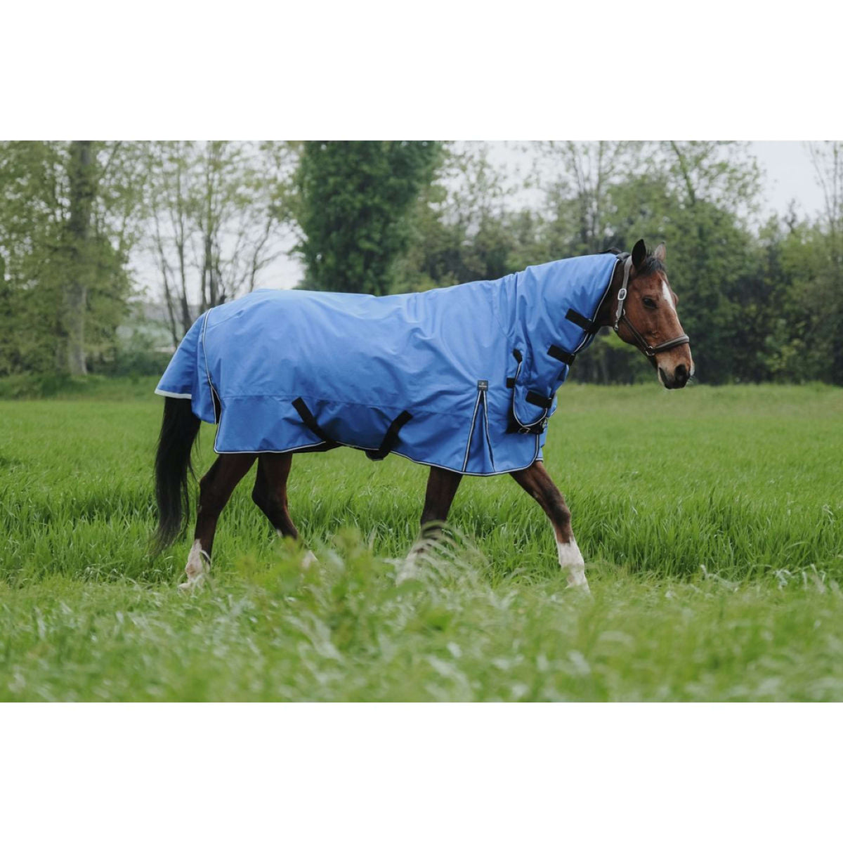 EQUITHÈME Alfombra de Exterior 1200D 300g Aisance Combo Royal Blue