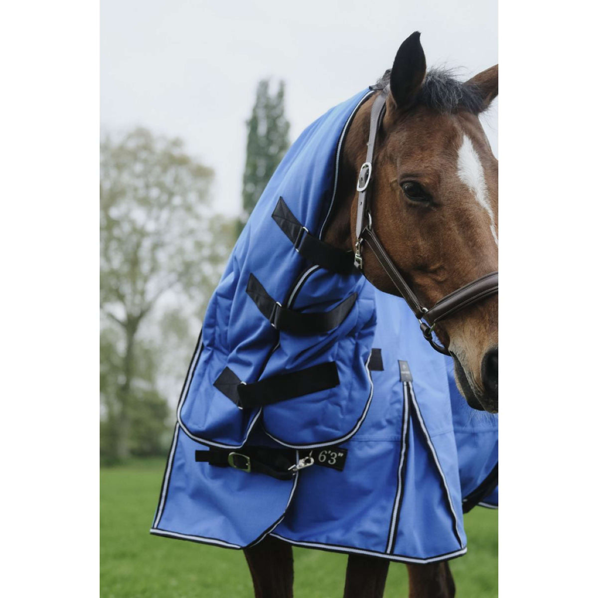 EQUITHÈME Alfombra de Exterior 1200D 300g Aisance Combo Royal Blue