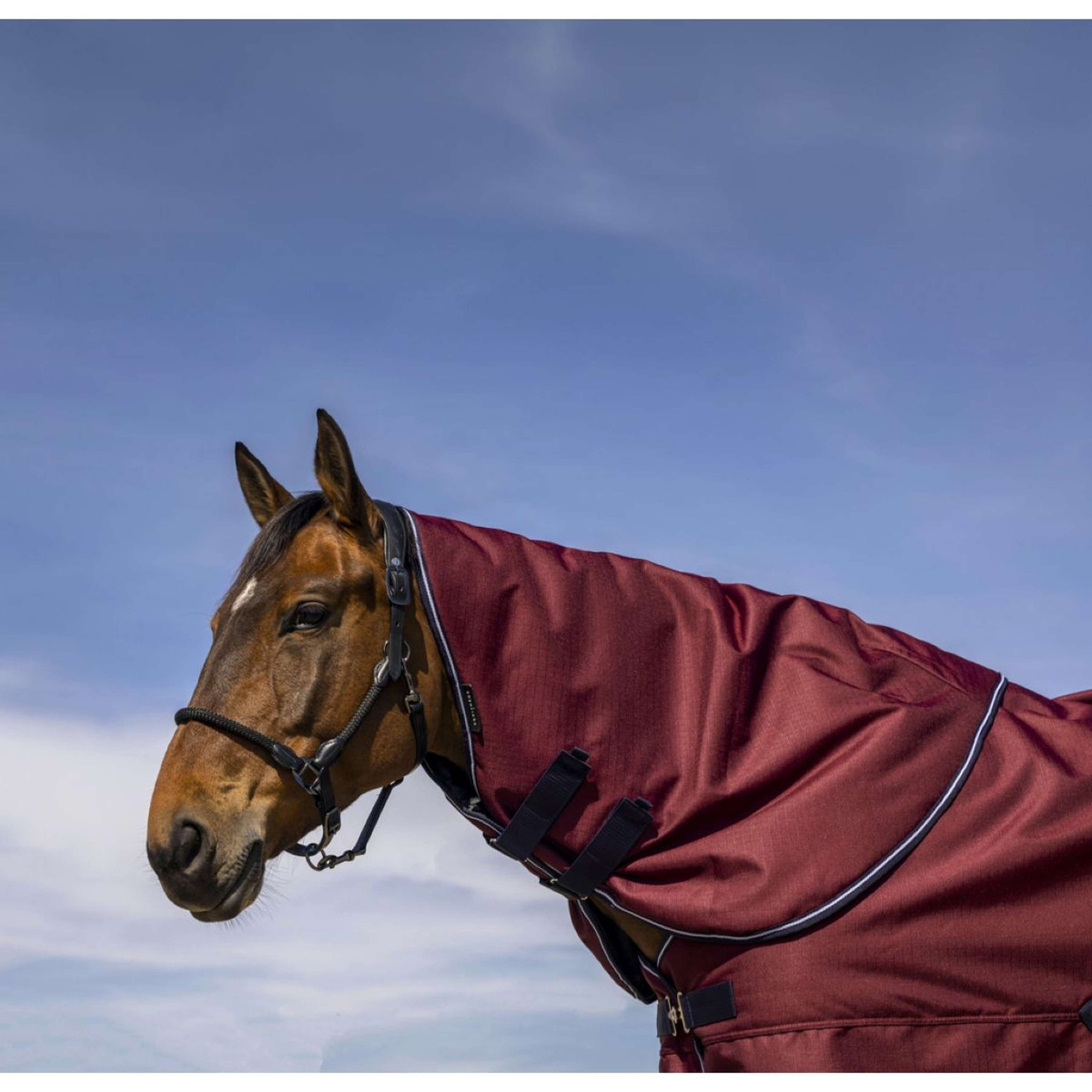 EQUITHÈME Cubrecuellos 1200D 200g Burdeos