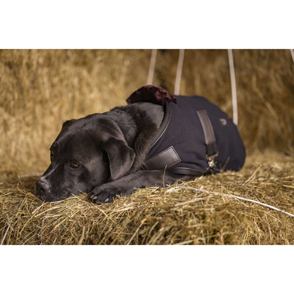 Diego & Louna Manta para Perros Polar Negro