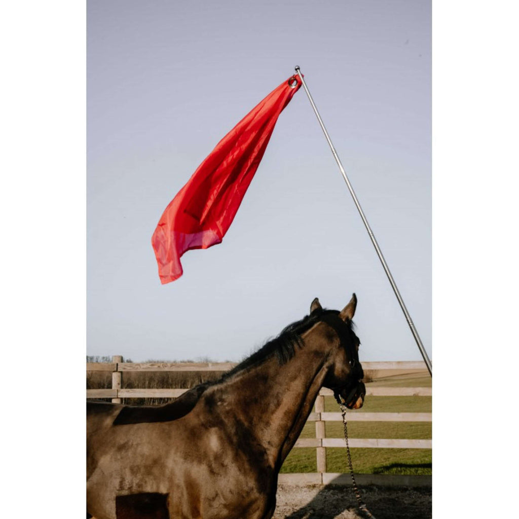 Hippotonic Bastón de entrenamiento Ethologisch con bandera Rojo