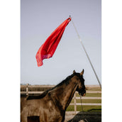 Hippotonic Bastón de entrenamiento Ethologisch con bandera Rojo