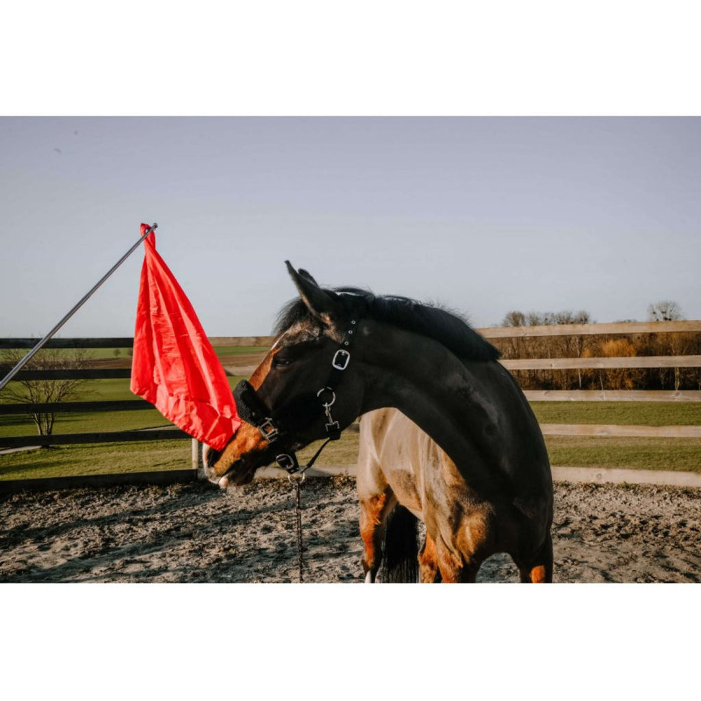 Hippotonic Bastón de entrenamiento Ethologisch con bandera Rojo