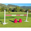 Hippotonic Set de Competición conocí a Cavaletti Rosa