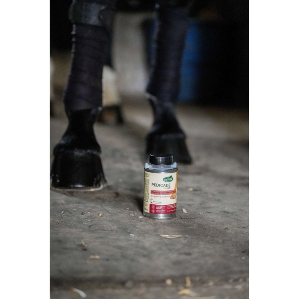 Ravene Pedicade Brush para Cascos de Caballos