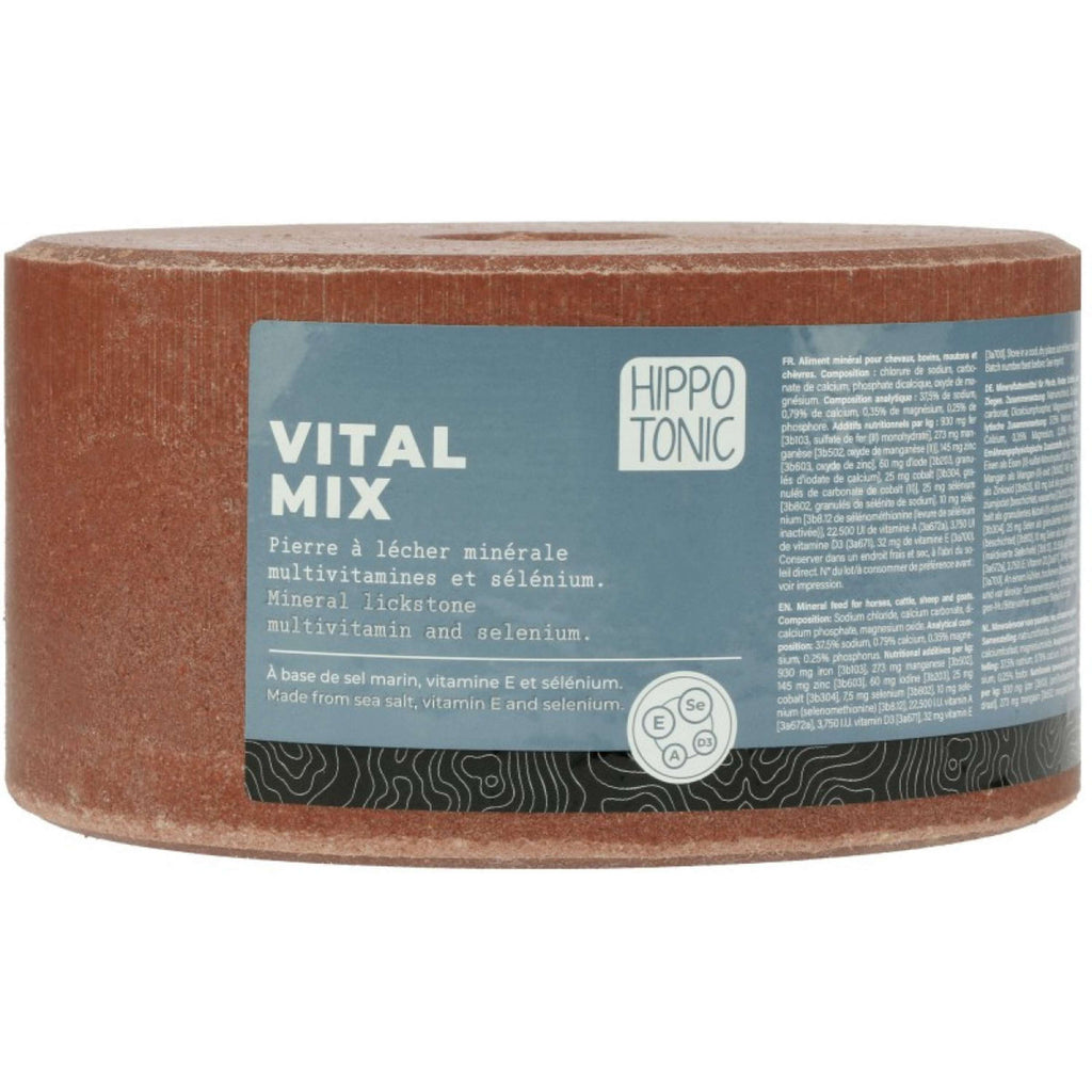 Hippotonic Piedra de Lamer Vitalmix Salt