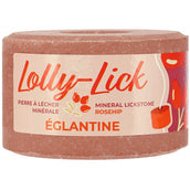 Hippotonic Lolly-Lick Rosa canina