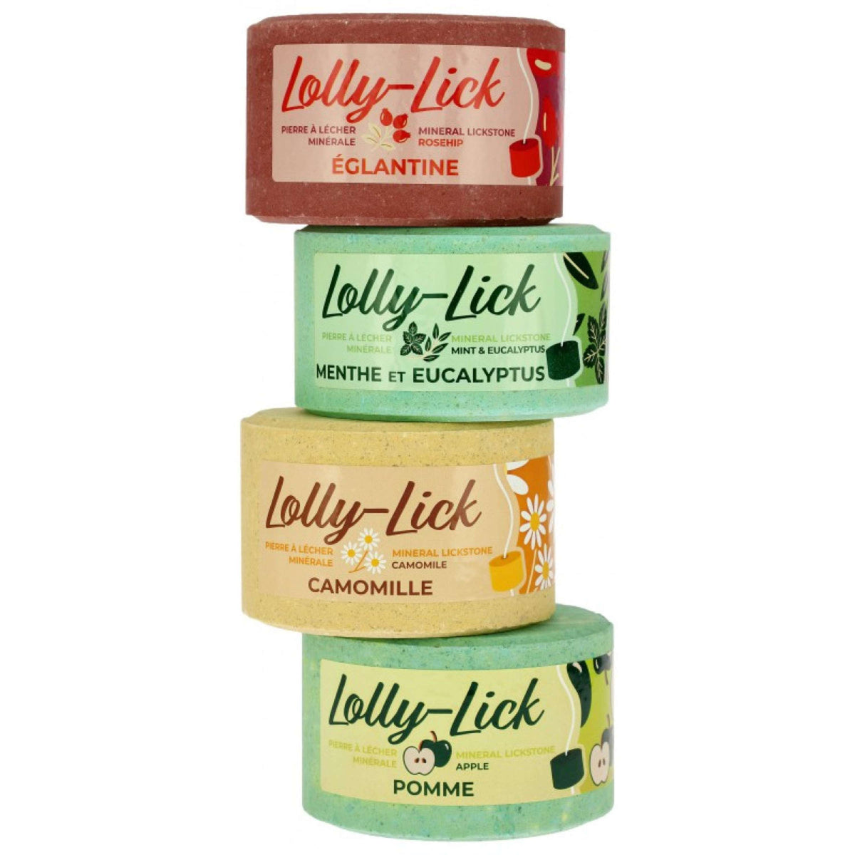 Hippotonic Lolly-Lick Rosa canina