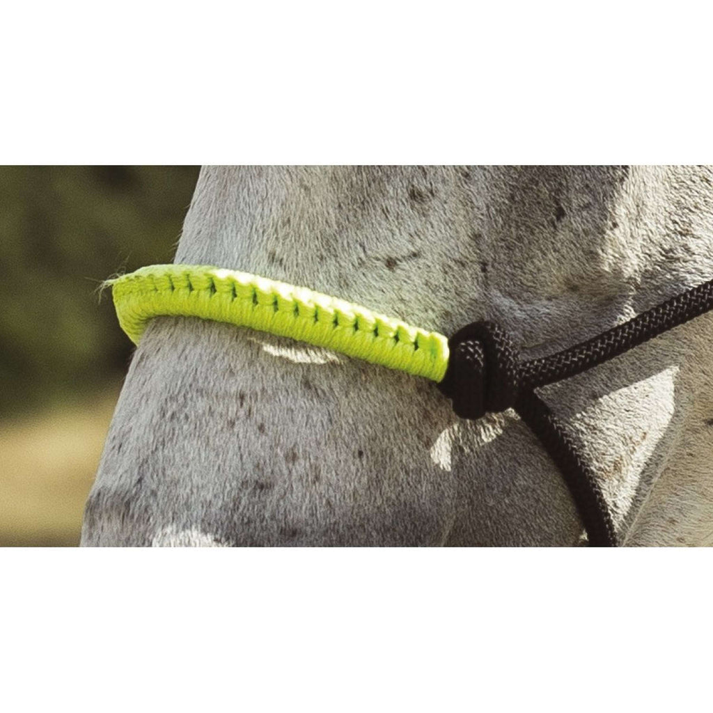 Norton Set de cabestro y ramal Fun Colour Ethologisch Negro/Verde Neon