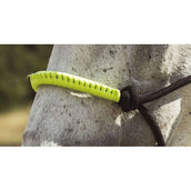 Norton Cabezada y Ramal Fun Colour Ethologisch Negro/Verde Neon