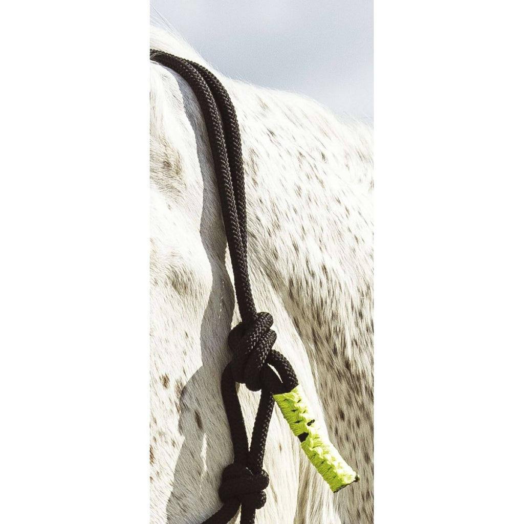 Norton Set de cabestro y ramal Fun Colour Ethologisch Negro/Verde Neon