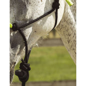 Norton Cabezada y Ramal Fun Colour Ethologisch Negro/Verde Neon