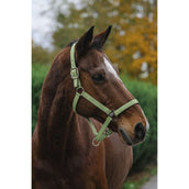 EQUITHÈME Cabezada Spring Nylon Verde claro