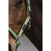 EQUITHÈME Cabezada Spring Nylon Verde claro
