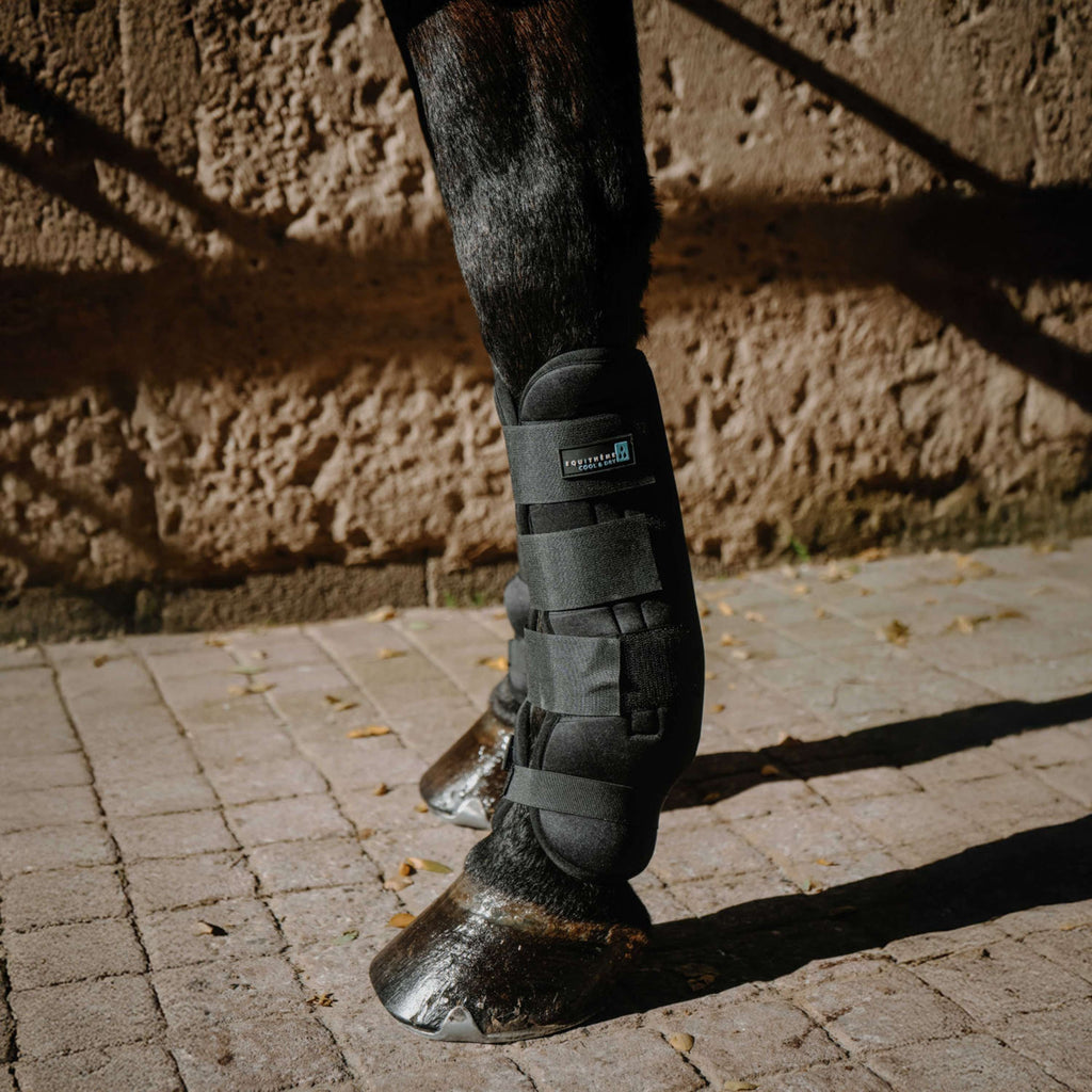 EQUITHÈME Botas para tendones Cool&Dry Negro