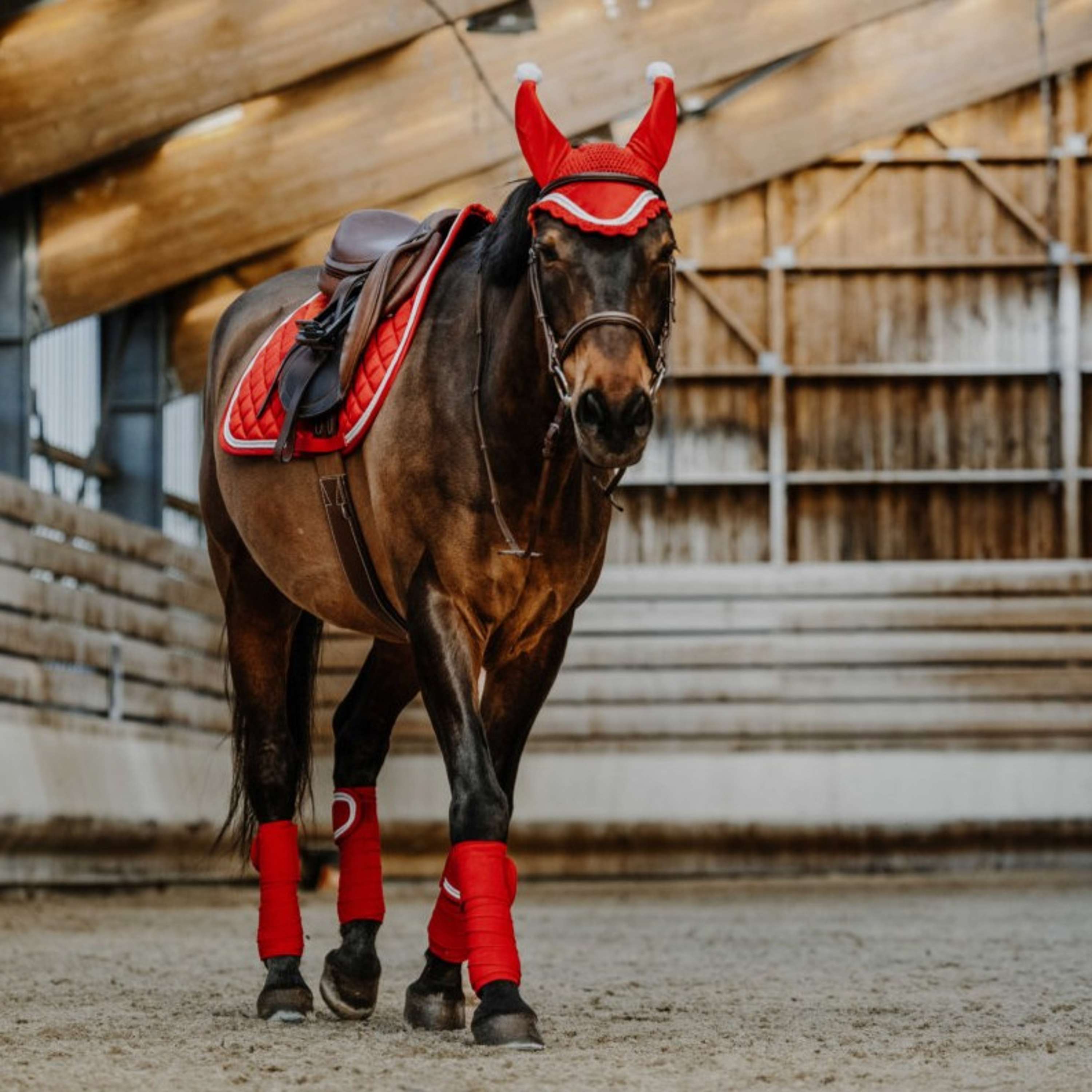 EQUITHÈME Vendajes Navidad Rojo