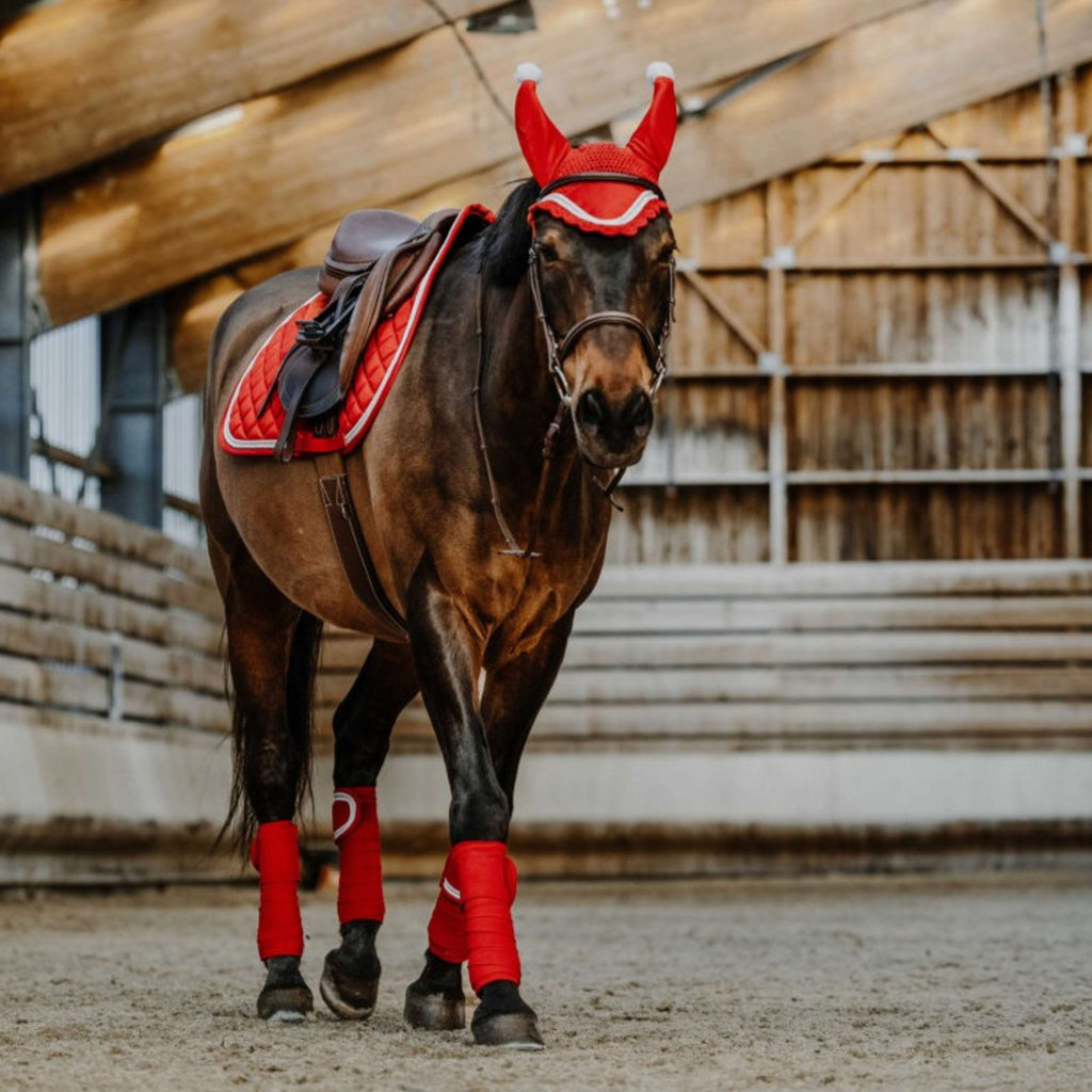 EQUITHÈME Vendajes Navidad Rojo