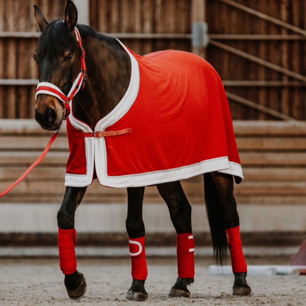 EQUITHÈME Vendajes Navidad Rojo