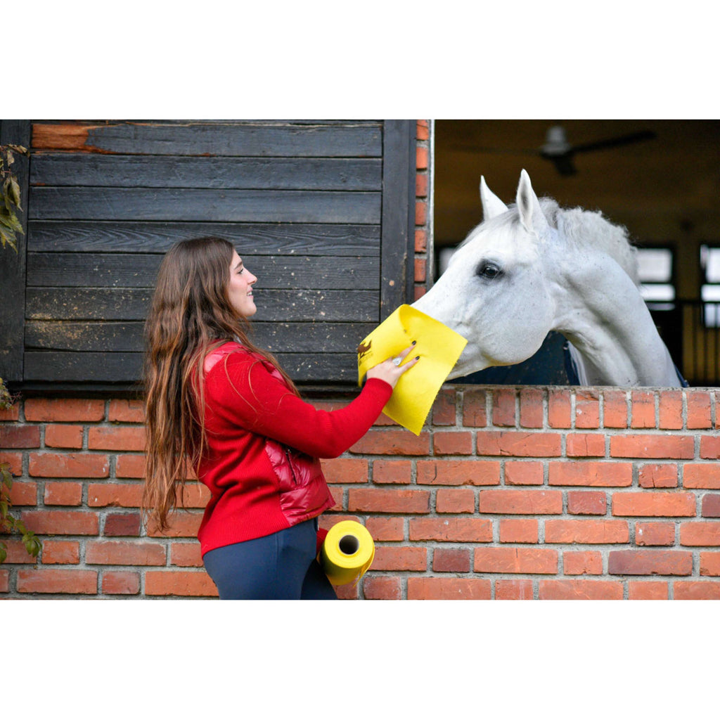 Horsewipe Rollo de Paños de Limpieza Amarillo