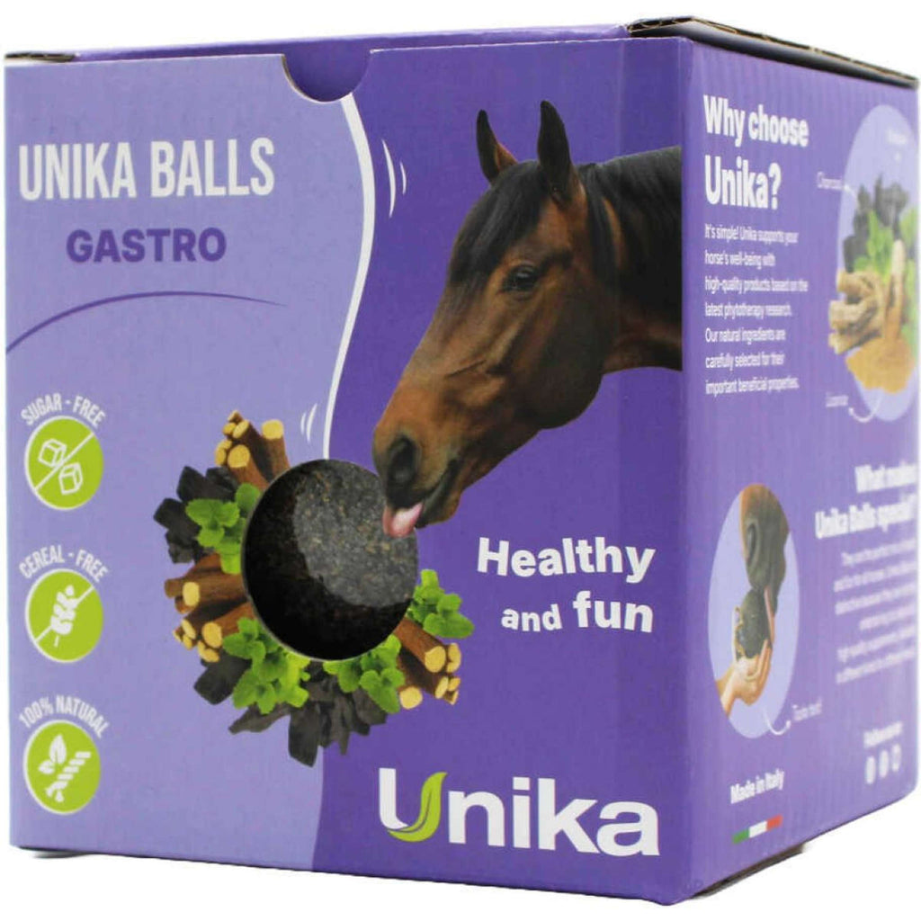 Unika Pelotas Gastro Gastro